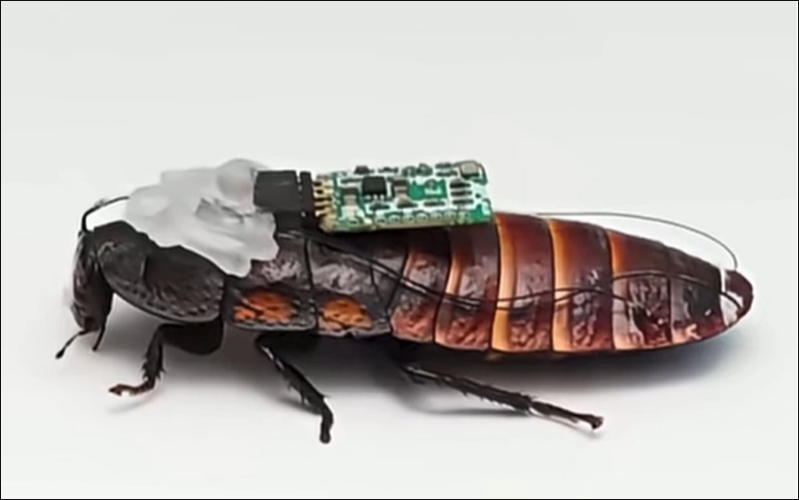 Trung Quốc dùng “cỗ máy gián” cho hoạt động tìm kiếm, cứu hộ